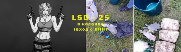 PSILOCYBIN Бородино