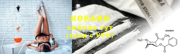 PSILOCYBIN Бородино
