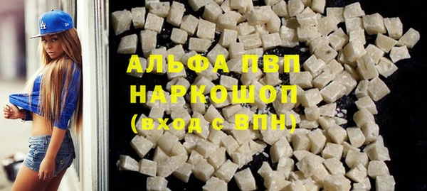 PSILOCYBIN Бородино