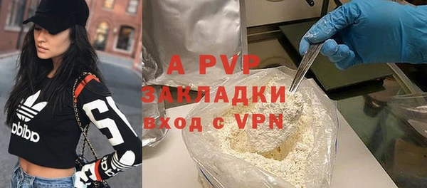 PSILOCYBIN Бородино