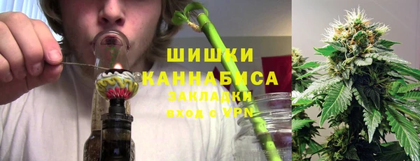 PSILOCYBIN Бородино