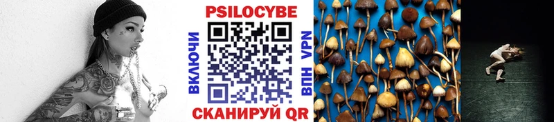 Псилоцибиновые грибы Psilocybe  дарнет шоп  Михайловск 